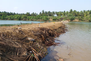 godavari rever