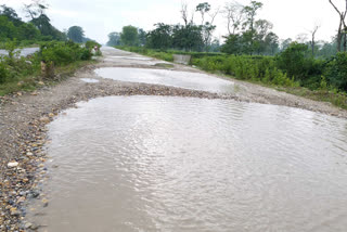 পুখুৰীলৈ ৰূপান্তৰিত বিশ্বনাথৰ পথ