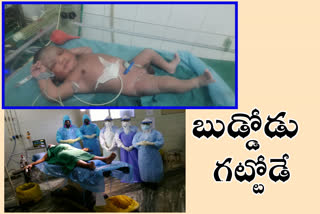 Corona positive woman gives birth to a male child At Eluru Kovid Hospital in west godavari