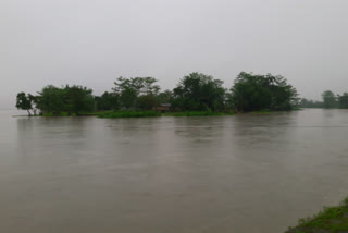 flood in Teok : Jhanjhimukh submerged