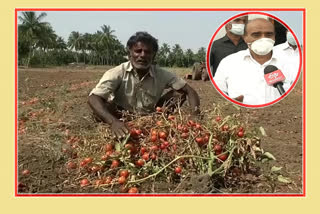 chittor-mp-reddappa-comments-on-tomato-farmers