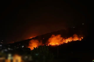 Uttarakhand wildfire