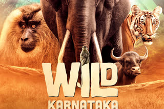 Rishab Shetty voice to Wild Karnataka telecommunication film