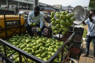 कर्नाटक: आम उत्पादकों को फल की ऑनलाइन बिक्री में मदद करेगी फ्लिपकार्ट