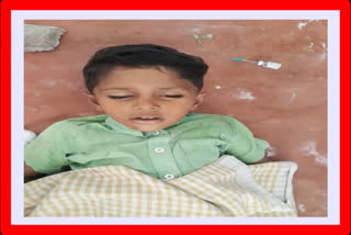 four years old boy death in road accident in choutipally at ananthapur district