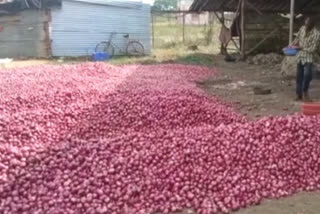 Nashik farmers unable to sell onions at fair prices