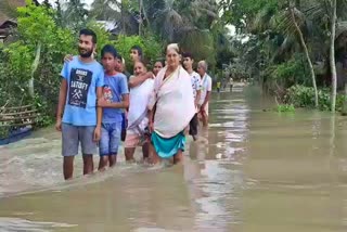 বানাতংক নলবাৰী