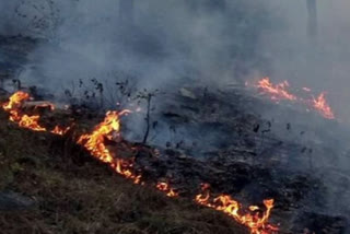 fire in uttarakhand forest