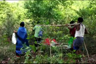 pregnant woman carried on cot in rayagada