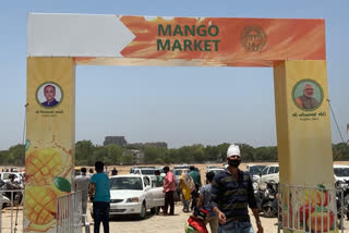 Flouting COVID-19 rules, Ahmedabad Mayor inaugurates mango festival