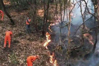 Fake social media photos exaggerating Uttarakhand forest fires: CCF