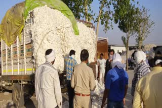 Sparring happening with cotton farmers