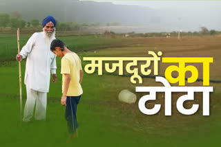 लॉकडाउन का असर , धान फसल की रोपाई,  Bundi News,  Transplanting of Paddy