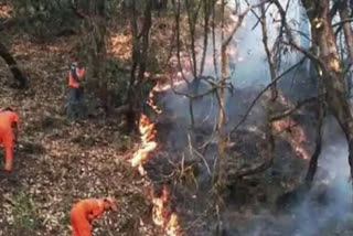 Uttarakhand Forest Department news Uttarakhand forest fires 2020 Massive Fire in Uttarakhand Forests Is Uttarakhand Burning? Indian Forest Service Association Ashok Kumar news Uttarakhand forest fires exaggerated Uttarakhand forest fires in social media ഡെറാഡൂൺ ഉത്തരാഖണ്ഡ് കാട്ടുതീ മുഖ്യമന്ത്രി ത്രിവേന്ദ്ര സിംഗ് റാവത്ത് വനംവകുപ്പ് ചീഫ് കൺസർവേറ്റർ ജയ് രാജ്