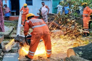 ৰাষ্ট্ৰীয় দুৰ্যোগ প্ৰশমন বাহিনীৰ এক চমু অৱলোকন