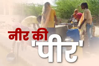 पाली में पेयजल का संकट, Rohat area news,  Drinking water crisis in Pali