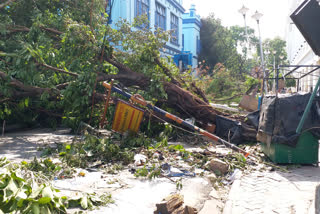 Cyclone Amphan: electric supply affected in kolkata