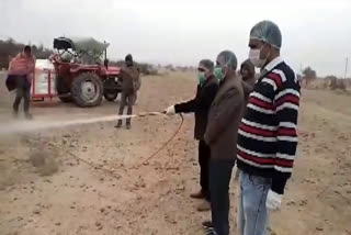 जैसलमेर में टिड्डी दल, Locust group in Jaisalmer