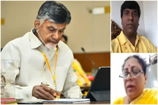 tdp mahanadu 2020