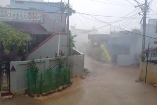 Premature rain in Chittoor district