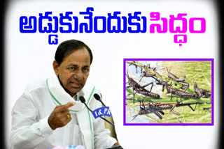 cm-kcr-said-special-committee-to-prevent-locust-in-telangana