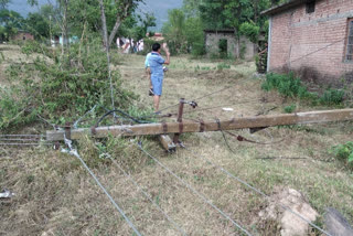 Electrical poles fell due to the storm