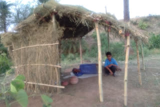 Quarantine themselves by building a hut outside the village