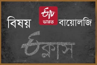 etv bharat e class subject biology