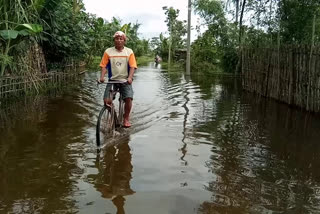 নাওবৈচাত শিঙৰানদীৰ বান পৰিস্থিতি কিছু উন্নত