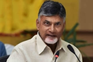 TDP President N Chandrababu Naidu (file photo)