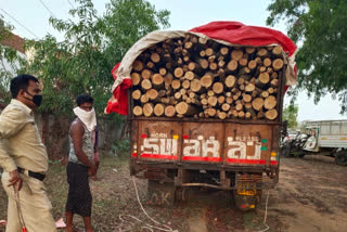 Accused of illegal transport of wood