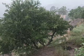 rain and hailstorm in karsog