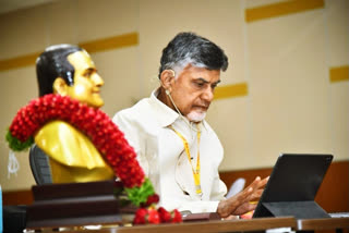 tdp mahanadu