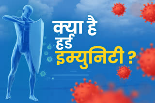 कोटा न्यूज, kota news,  हर्ड इम्युनिटी सिस्टम, Heard Immunity System