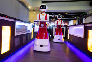 Robots, for serving purposes or for dirty dishes collection, advance as part of a tryout of measures to respect social distancing and help curb the spread of the COVID-19 coronavirus, at the Hu family's Royal Palace restaurant in Renesse, on Wednesday.