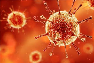 Coronavirus: Rajasthan reports two deaths, 91 new cases