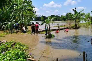 বানে উটুৱাই নিলে নলবাৰীৰ এটি কিশোৰ