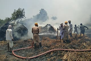 ಜೋಳದ ಬಣವೆ ಭಸ್ಮ