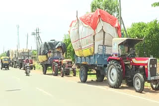 Cotton growers who got into trouble