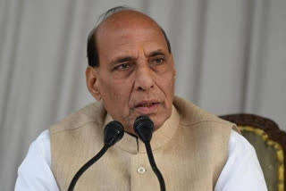 Defence Minister Rajnath Singh (file image)