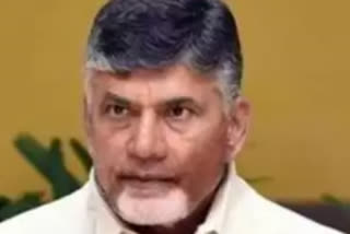 chandrababu comments on nimmagadda