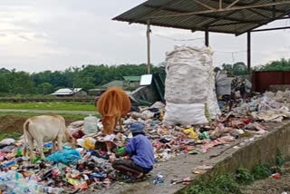 plastic bottles create environmental pollution in dibrugarh