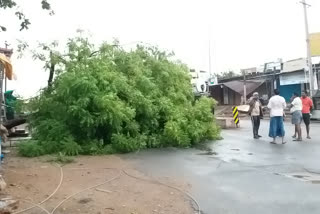 Untimely rains and strong winds In Peddapally District