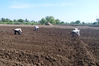 farmers are already preparing to grow monsoon crop