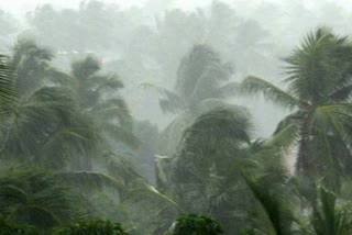 ശക്തമായ മഴയ്‌ക്ക്‌ സാധ്യത  Heavy rain  തിരുവനന്തപുരം വാർത്ത  thiruvanthapuram state  state news