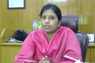 District Collector Deepa Cholan