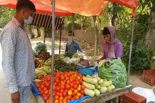 vegetable farmers are not getting price in faridabad