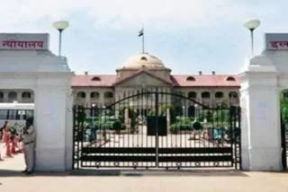 allahabad high court