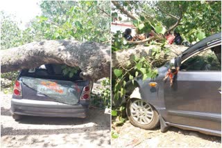 A tree branch fell on a moving vehicle in hazaribag