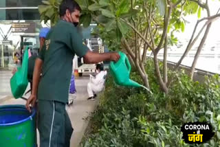 Greenery started appearing at Delhi airport too